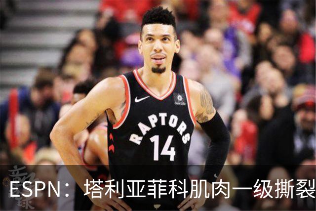 ESPN：塔利亚菲科肌肉一级撕裂，至少缺席世界杯前两场小组赛